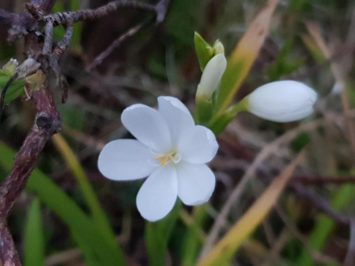 לינה וארוחת בוקר Saint-Aignan  Couloumine Breizh מראה חיצוני תמונה